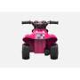 El mejor viaje en los coches Minnie Mouse Quad 6V Batery -Operated Quad