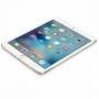 Reastado Apple iPad Mini 4 128 GB Space Grey Wi-Fi MK9N2LL/A (restaurado)