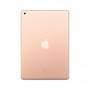 Apple iPad 7th Gen 32GB Gold Wi-Fi MW762LL/A (restaurado)